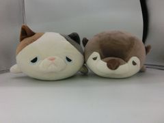 Item thumbnail for item d8d252a0-ee3c-4887-8119-847f112d578d