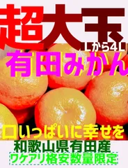 有田みかん☆SALE☆ワケアリ箱込み5キロ☆大玉数量限定