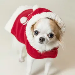 サンタクロース 犬服 冬 クリスマス コート【ルルドール】サンタサッポロ冬ガール パピーS/3Sサイズ 犬服 冬 冬用 さんた 赤ずきん クリスマス チワワ 超小型犬 タイニー