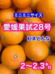 ミニミニサイズ！！愛媛果試28号(紅まどんな)2〜2.3㌔３S〜サイズ　ご家庭用