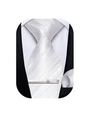 【在庫処分】ビジネス 入学式 洗濯可能 セット タイピン 二次会 ハンカチ ストライプ ネクタイ [DiBanGu]