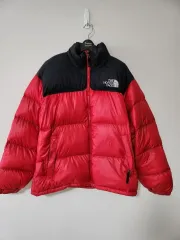 THE NORTH FACE 700 Nuptse (100