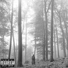 folklore [1. the “in the trees edition deluxe cd]"