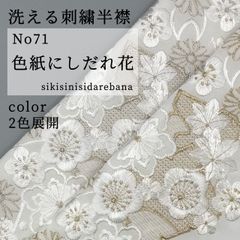 Item thumbnail for item 6c19e878-5fb0-46d8-a263-dfe84bad7aef