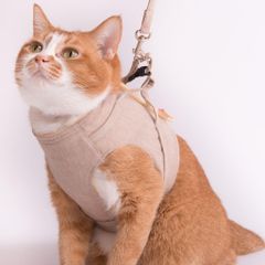 Item thumbnail for item 89ef1d5c-649d-435c-9b9a-dc69c98e9239