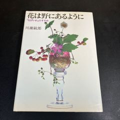 花は野にあるように なげいれのすすめ 川瀬敏郎 - メルカリ