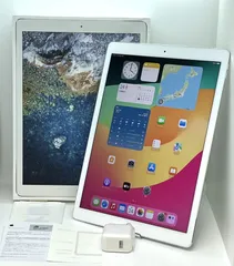 【美品】iPad Pro 12.9インチ（第2世代）Wi-Fiモデル 256GB Apple タブレット本体 送料無料