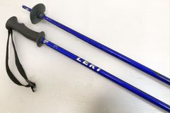 LEKI レキ アルペンスキーSL ストック 95cm パンチガード付き - メルカリ