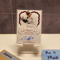 2020 Panini Craig Biggio 12/20 直筆サインカード Houston Astros Flawless Premium Ink カード