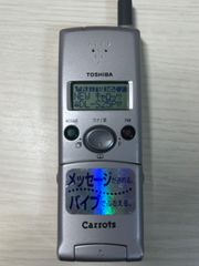 Item thumbnail for item 78d33938-e050-4cb5-a617-4f125d399d55