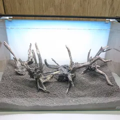 2025年最新】ADA ブランチウッドの人気アイテム - メルカリ