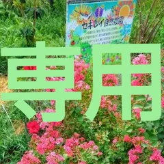 SawaSei様専用です。