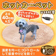 Item thumbnail for item d8b211be-fd47-458e-82ee-30dc9b40ebdf