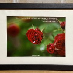 Item thumbnail for item 6080cc94-933b-48b2-9b31-777634414dcc