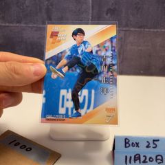 2013 BBM 田中理恵 017/100 直筆サインカード 日本代表 The Elegance