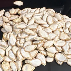 33. バターナッツかぼちゃの種　20粒