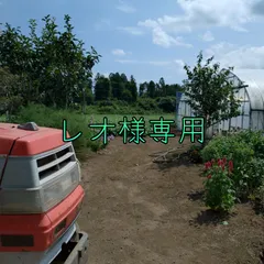レオ様専用
