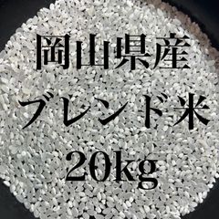 埼玉県産 ⭐“農家で食べてる”ブレンド米⭐ 白米29キロ 送料無料① 令和7年度 埼玉県産 ⭐“農家で食べてる”ブレンド米⭐ 白米29キロ 送料