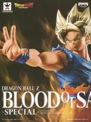 【中古】フィギュア 超サイヤ人孫悟空 「ドラゴンボールZ」 BLOOD OF SAIYANS-SPECIAL-