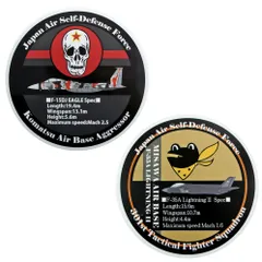 臨時登録商品 自衛隊 耐水性ステッカー 飛行教導群アグレッサードクロ・F-15DJ柄 &第301飛行隊D柄 セット