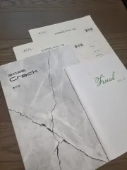 2026時代人材 チェ・ジウクT BRIC'S ブリックス 17 18回 クラック 9回