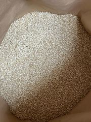 令和7年産 新米 訳あり 5kg