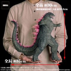 도호 대괴수 시리즈 고질라 (2024) EVOLVED Ver. 소년 릭 한정품 [고질라 × 콩 새로운 제국]