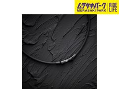 Item thumbnail for item 8b8f138b-89b6-4efd-8cac-4eb6f1be430b