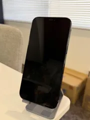 iPhone 12Pro MAX 256 GB パシフィックブルー SIMフリー 動作確認済み IMEI：356720110365742