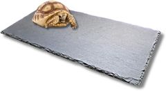 Item thumbnail for item f4a119a3-ec40-4924-87a3-2495a6090073