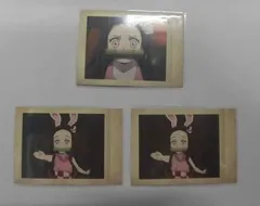 鬼滅の刃 無限列車編 ぱしゃこれ 竈門禰豆子 No.11 20