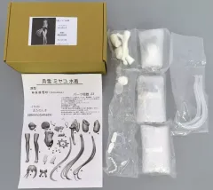 【中古】フィギュア 月雪ミヤコ(水着) 「ブルーアーカイブ -Blue Archive-」 1/6 ガレージキット BOOTH限定