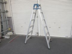 長谷川工業 はしご兼用脚立 RW2.0-15 脚立 5段 - メルカリ
