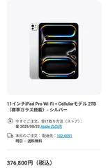 【未使用】iPad Pro 11インチ M4 Wi-Fi ＋ Cellular 2TB 標準ガラス搭載 ブラック 2024年モデル