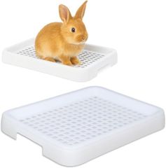 Item thumbnail for item 7cd5b4ae-15e7-495d-86fe-8cf63e6411cd