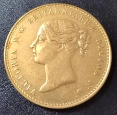 2025年最新】ウナ ライオン 金貨の人気アイテム - メルカリ