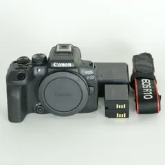 【専用出品】Canon EOS R10 本体 CANON EOS R10 ボディ 価格比較 - 価格.com