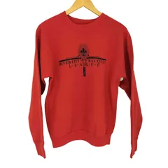 フルーツオブザルーム FRUIT OF THE LOOM 90s USA製 クルーネック L/S プリントスウェット メンズ import：L 