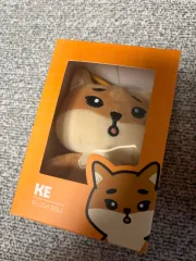 DAY6 デニマルズ 22 ケ