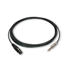 Item thumbnail for item 0b81a5e7-12a2-4b62-b4f7-ba60d282e102