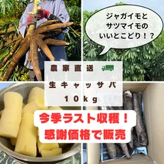2025年最新】キャッサバ芋の人気アイテム - メルカリ