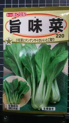 2026年最新】チンゲン菜の人気アイテム - メルカリ