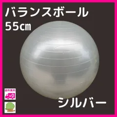 バランスボール　シルバー　銀　トレーニング　ヨガボール　55cm　体幹　産後　子ども ヨガ 筋トレ フィットネス