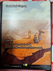 MTG 魂の洞窟 日本語 アヴァシンの帰還 AVR C Cavern of Souls - メルカリ