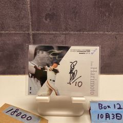 2023 BBM ALL SPORTS PREMIUM 高木美帆 051/110 TOKIOインカラミ Crown