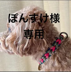 ぽんすけ様専用