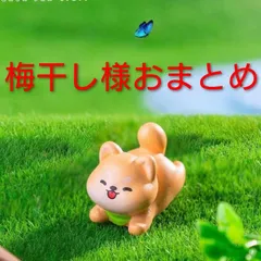 梅干し様おまとめ