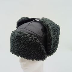 Item thumbnail for item 343f9c63-aa22-4c68-9199-a0f3a361601e