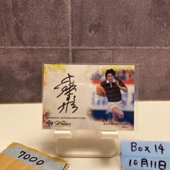 受注生産品】堀口恭司 記念メタルフレーム - メルカリ