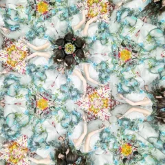 【中古】アニメ系CD Aimer / 太陽が昇らない世界[通常盤] ～劇場版「鬼滅の刃 無限城編 第一章 猗窩座再来」主題歌